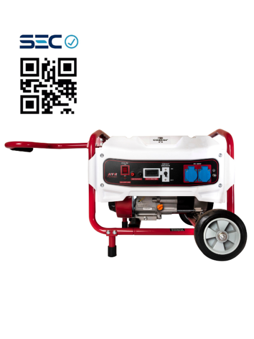 Generador Electrico Castor 2500
